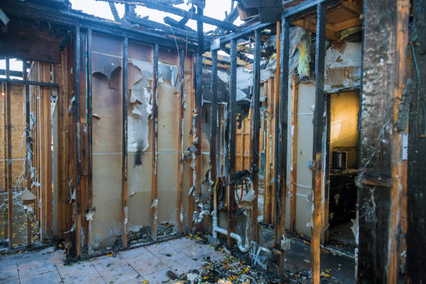 Professional Fire Damage Removal technician working in Ferndale, PA