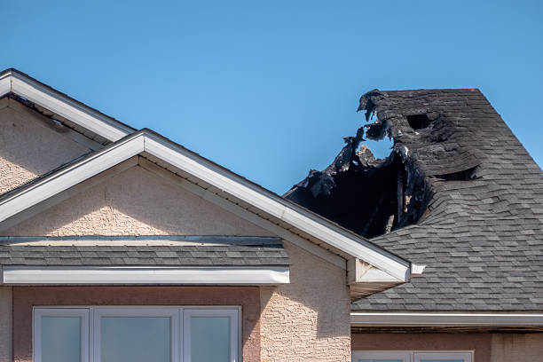 Top rated local Fire Damage Removal specialists in Ferndale, PA
